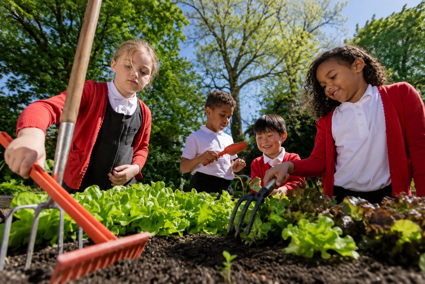 Understanding each child